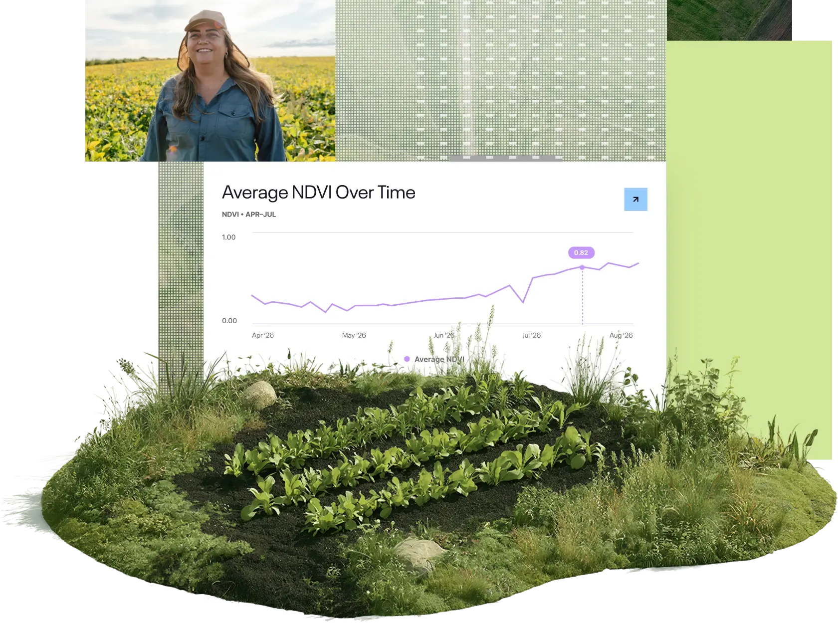 Agricultural landscape with environmental monitoring and market data.